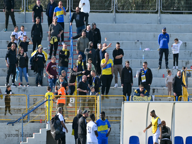 הקהל שהצטמצם (ירון קליין)